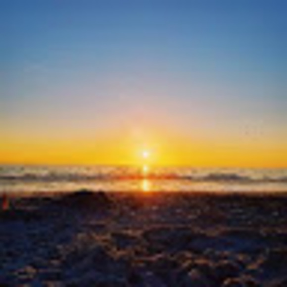 Meet your Posher, Rhea - Picture 1 of 1